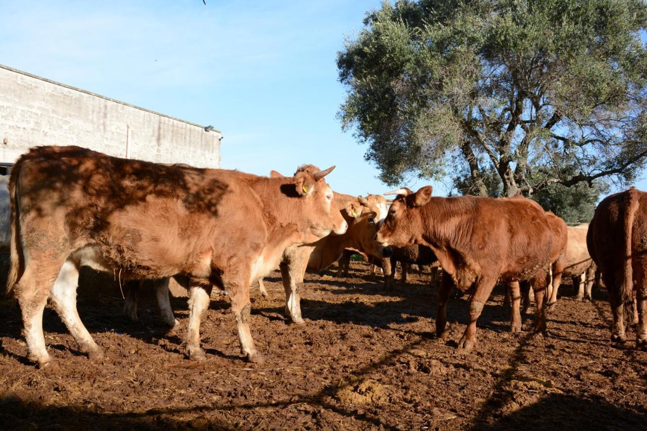 Masseria Rifisa Agriresort Caprarica di Lecce 외부 사진